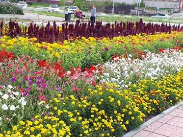 Заксобрание продолжает мониторинг реализации проекта «Городская среда» в территориях Приангарья